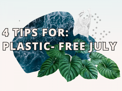 4 Tips for Plastic Free July