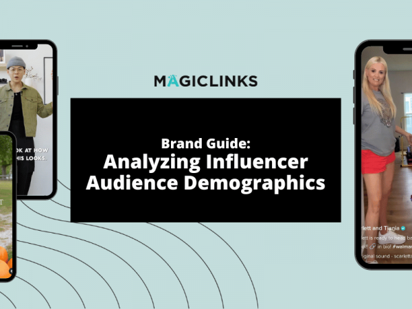 the brand guide to analyzing influencer audience demographics